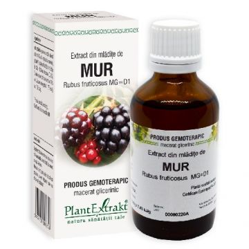 Extract Mur 50ml Plantextract