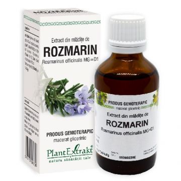 Extract Mladite Rozmarin Plantextrakt 50ml