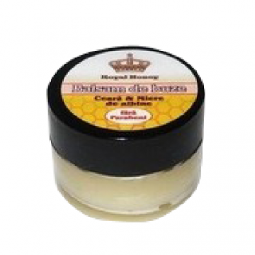 Balsam de Buze cu Unt de Shea 10ml Apidava