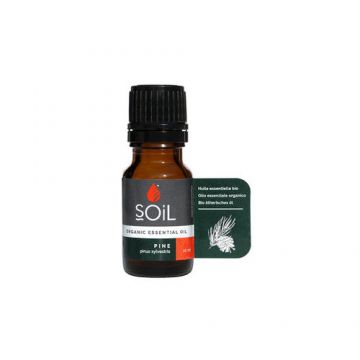 Ulei Esențial de Pin (Pine) Ecologic/Bio, 10ml | SOiL