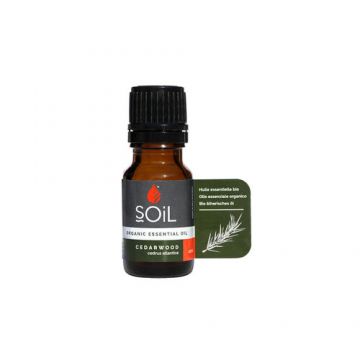 Ulei esenţial de Cedru (Cedarwood) Ecologic/Bio 10ml SOiL