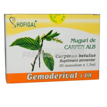 Gemoderivat 1 Dh Mladite de carpen alb 30 monodoze