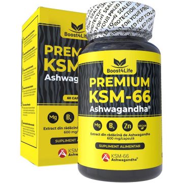 Ashwagandha KSM-66 Premium 60 capsule