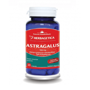 Astragalus 500 mg 30 capsule