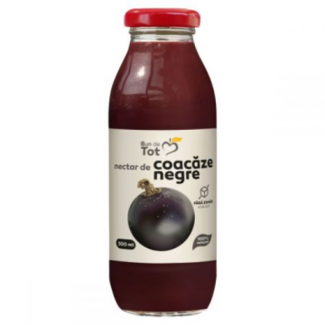 SGR-Nectar de Coacaz Negru 300ml Dacia Plant