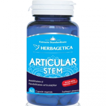 Articular+Stem 60cps Herbagetica Articular+Stem 60cps Herbagetica