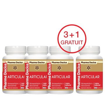 Articular Protect 3+1 Gratuit, 60 capsule x 4 Articular Protect 3+1 Gratuit, 60 capsule x 4
